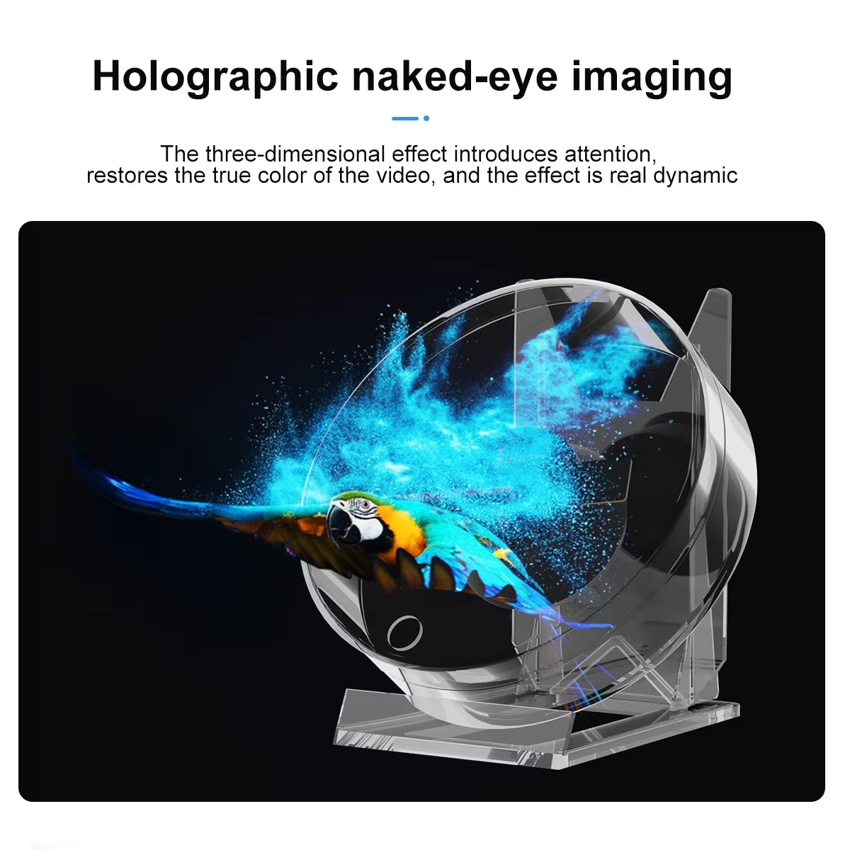 3D Holographic Advertising Lights LED Desktop Model Fan Screen with Audio Playback with Transparent Cover Holographic Fan